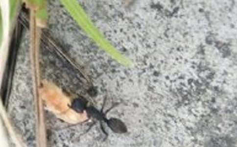 �����]��Λρ��ͯԒ���İ�ƪ