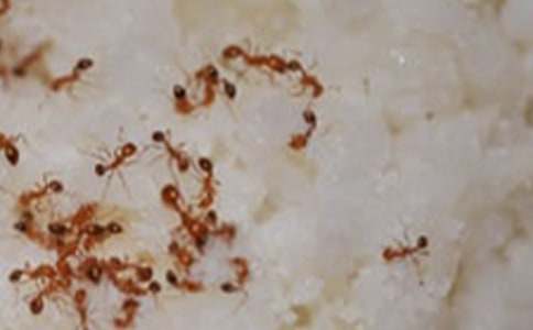 �^��Λρ_С�W(xu��)�^������500��_С�W(xu��)����