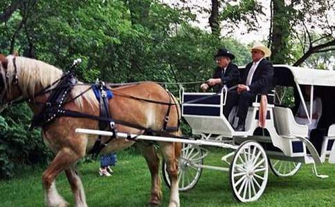 �����С�R܇ͯԒ����