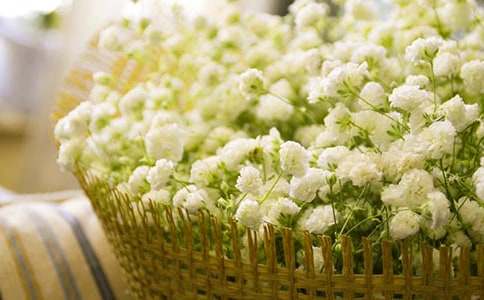 �M���ǵĻ��Z��Ԣ��