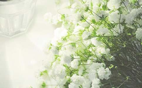 ٝ���M���ǵ����ġ����