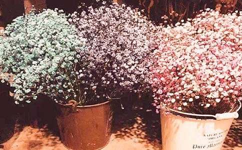 �M���ǻ��Z��ʲô��˼