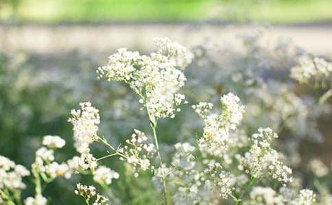 �M���ǻ��Z��ʲô