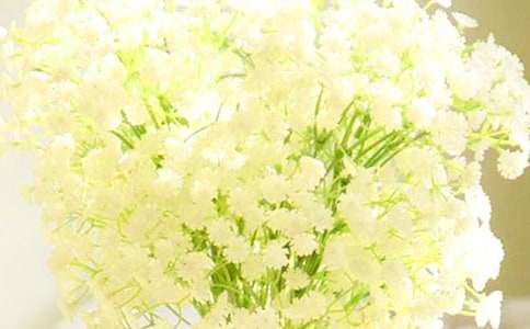 �{(l��n)ɫ�M���ǵĻ��Z-�r���Y�x