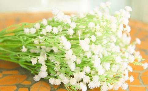 我的滿天星作文