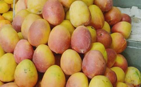 故鄉(xiāng)的芒果林作文700字-故鄉(xiāng)