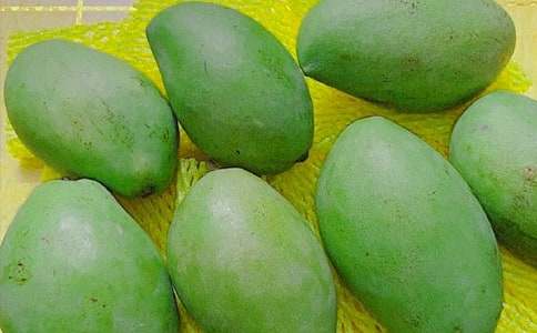 �����â��������