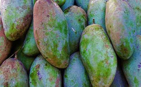 記寒假中的一件事--芒果的麻煩作文(通用30篇)