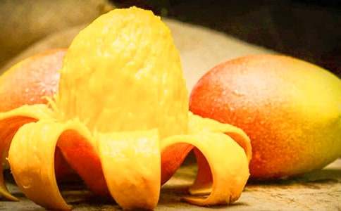 芒果樹的作文怎么寫