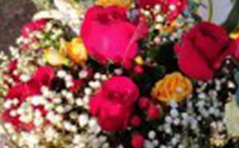 õ������Ĵ�ȫ[8ƪ]