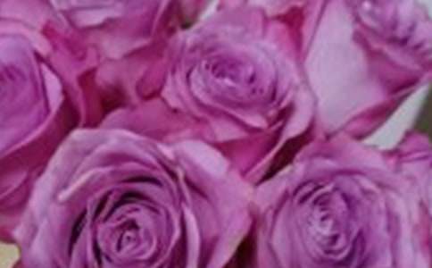 õ����`���������