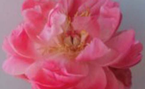 õ��֮�I��������