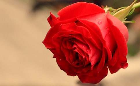 õ�廨���������ķ��ģ�ͨ��34ƪ��