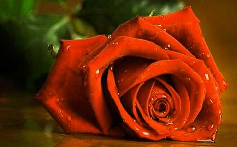 (��(y��u)��)õ�������300��