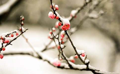 ��������÷������600��