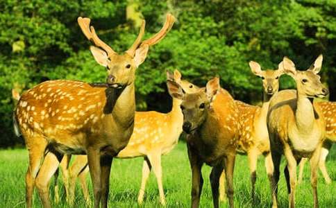 �茑÷��¹���ӵ����ģ�ͨ��29ƪ��