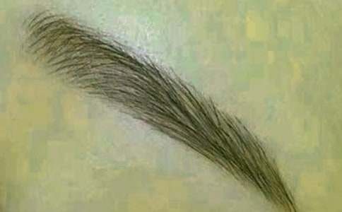 媽媽的眉毛250字作文