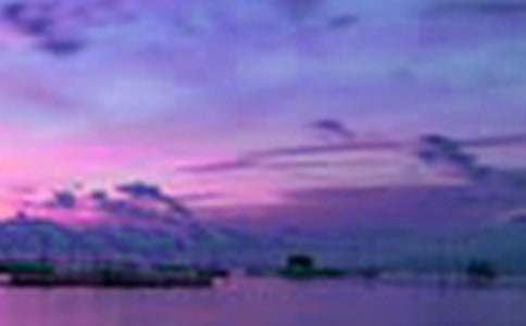 ���B�����������꼉