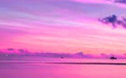 �茑����Ȼ����������8ƪ