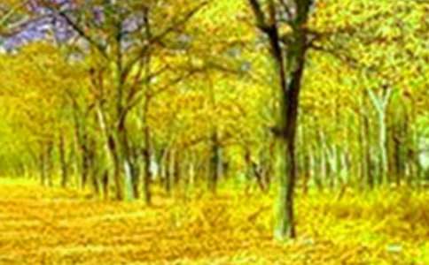 ���B�������ļ���5ƪ