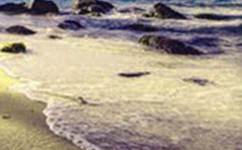 �����е�������������