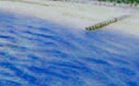 ���B���������ģ�ͨ��3ƪ��