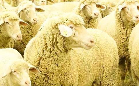 ������ش���;d��Ԣ�Թ���