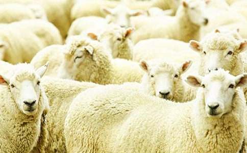 ����С�d��ͱ�����Ⱥ����