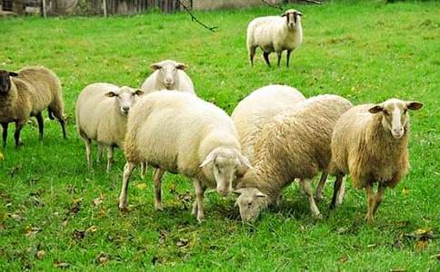 С�����g(sh��)�d������½̰�