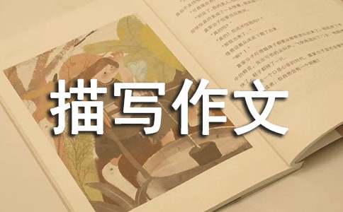 ���������茑���ļ�