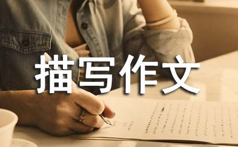 �����茑���ķ���