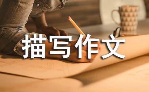 �ҵĵܵ������茑����