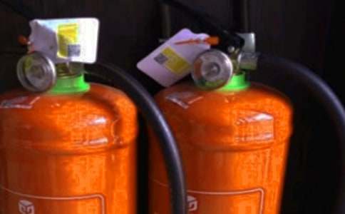 ������Ų麆��11ƪ[��]