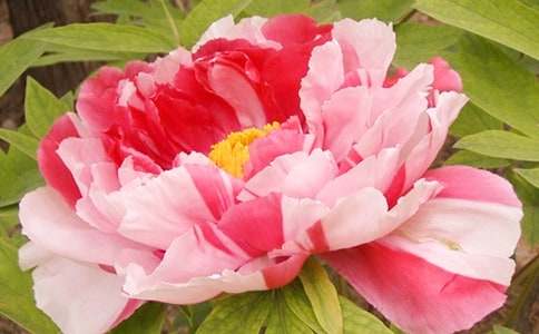 �^��ĵ��������7ƪ