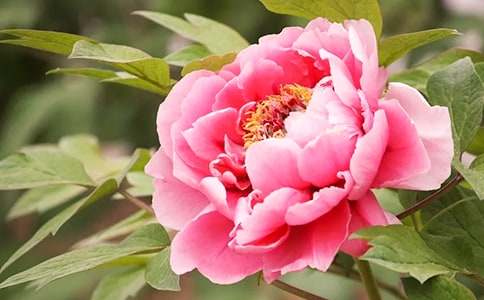 �^��ĵ��������15ƪ