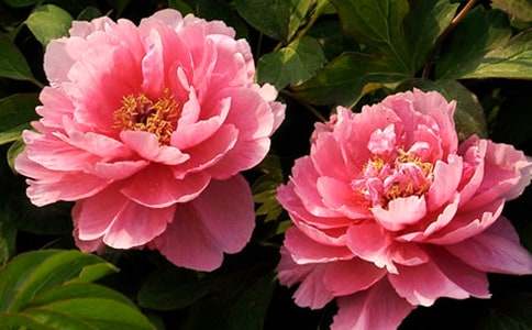 �^��ĵ������20ƪ����(j��ng)�䡿