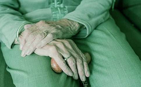 ���������̌�������