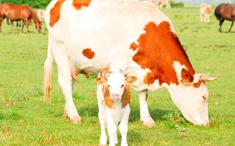 �P(gu��n)����ţ����300�֣�ͨ��18ƪ��