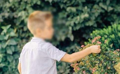 �к��͹����x����