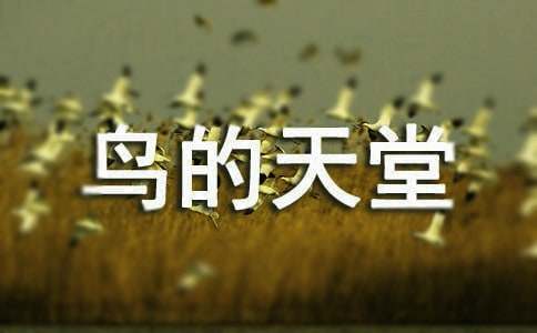 �B(ni��o)�����ý̌W(xu��)�S�P(���x11ƪ)