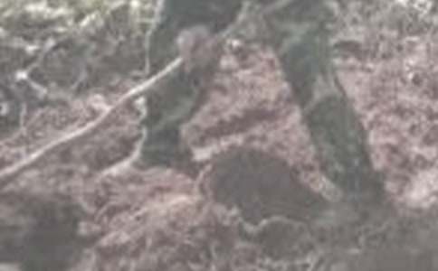 �w��r(n��ng)�������400��