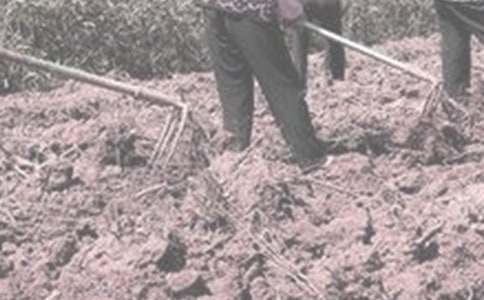 ��һ�θ��r(n��ng)�����ģ�ͨ��35ƪ��