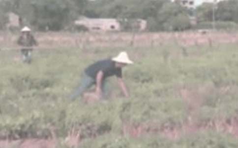 ��һ�θ��r(n��ng)�(y��u)������