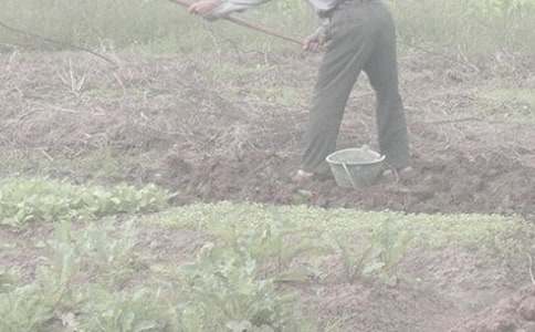 學農(nóng)活動作文(通用30篇)