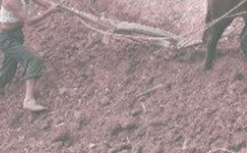 �W(xu��)�r(n��ng)���(d��ng)����