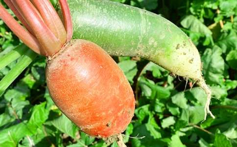 �r(n��ng)�Ҙ�֮������700��