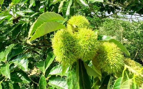 �r(n��ng)�Ҙ��߄���[���x15ƪ]