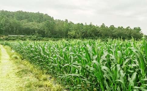 �r(n��ng)�Ҙ�(l��)600������