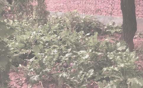 �r(n��ng)����N�Ӵ���ُ�N��ͬ