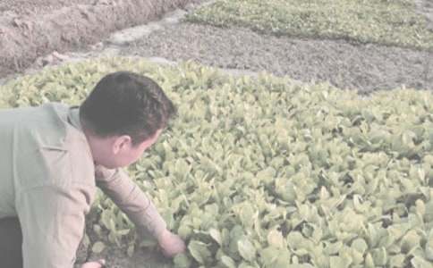 �r(n��ng)����N��ُ(g��u)�N��ͬ�������]